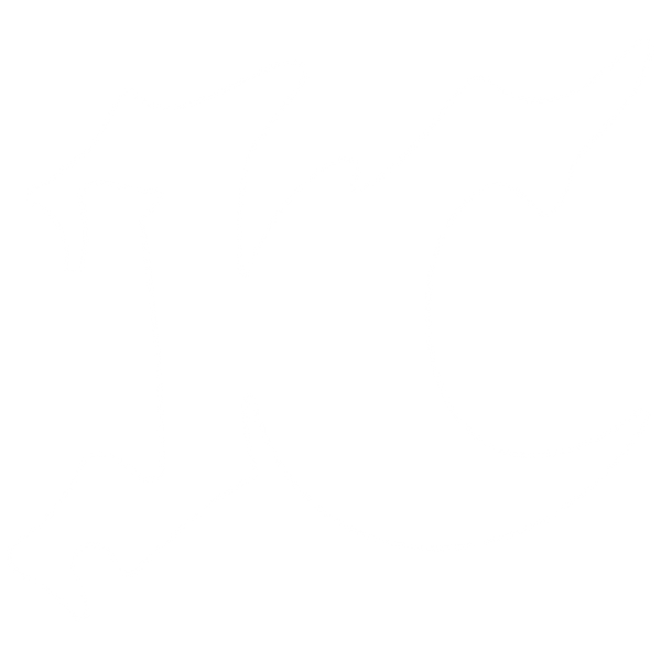 IRONCLUB